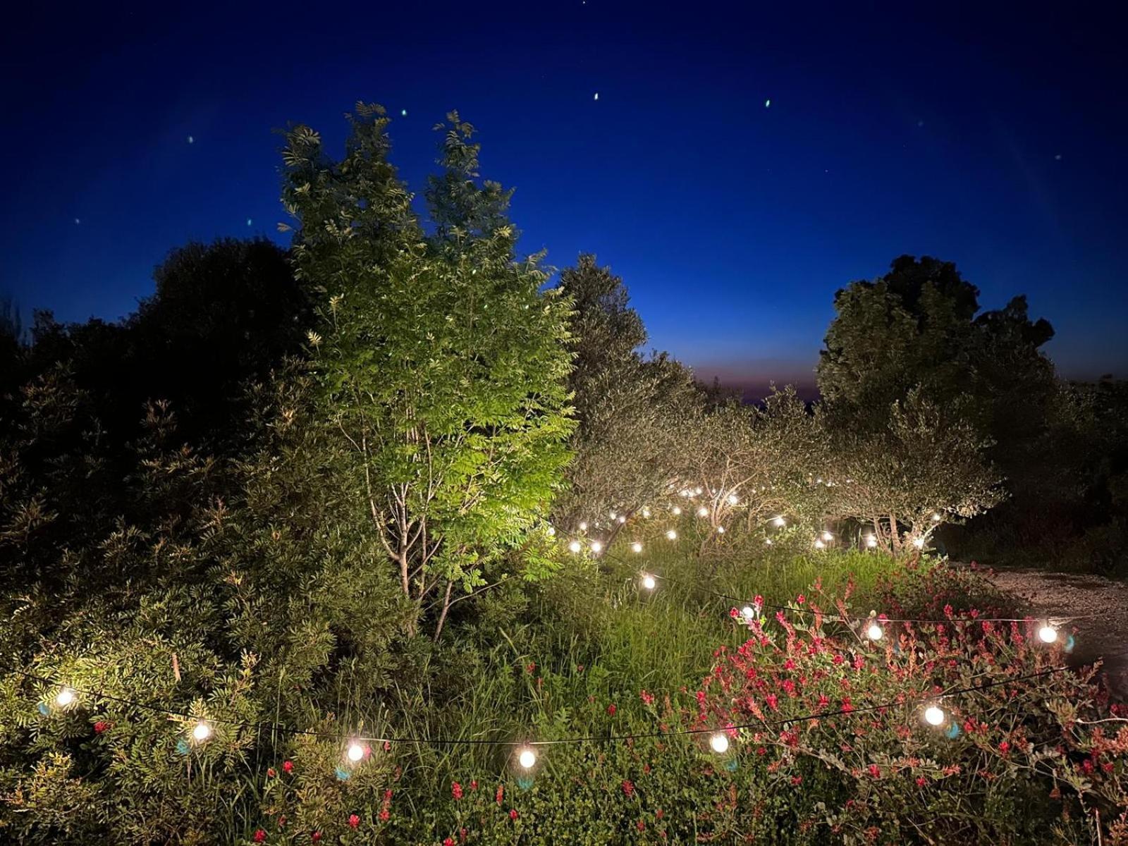 Glamping San Bart Hotel San Vincenzo Luaran gambar